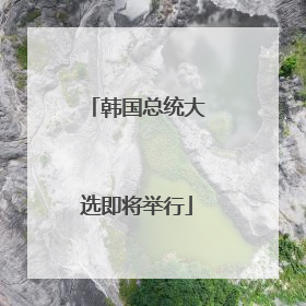 韩国总统大选即将举行