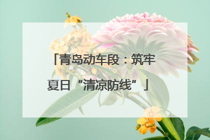 青岛动车段：筑牢夏日“清凉防线”