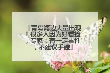青岛海边大量出现！很多人因为好看捡，专家：有一定毒性，不建议手碰