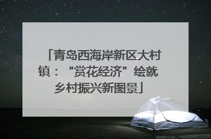 青岛西海岸新区大村镇：“赏花经济”绘就乡村振兴新图景