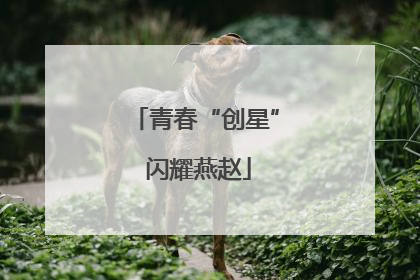 青春“创星” 闪耀燕赵