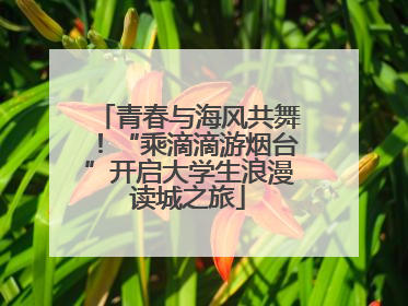 青春与海风共舞！“乘滴滴游烟台”开启大学生浪漫读城之旅