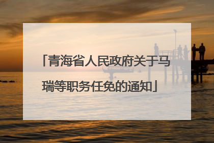 青海省人民政府关于马瑞等职务任免的通知