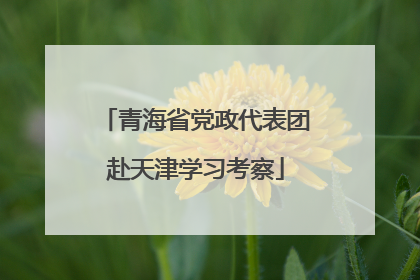 青海省党政代表团赴天津学习考察