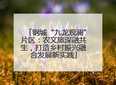 钢城“九龙观澜”片区：农文旅深融共生，打造乡村振兴融合发展新实践