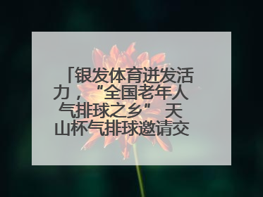 银发体育迸发活力，“全国老年人气排球之乡” 天山杯气排球邀请交流赛举行