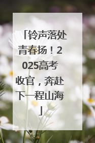铃声落处青春扬！2025高考收官，奔赴下一程山海