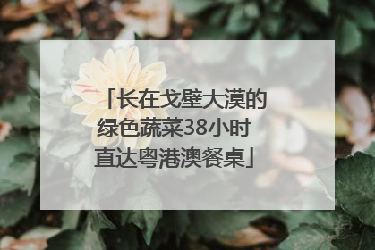 长在戈壁大漠的绿色蔬菜38小时直达粤港澳餐桌
