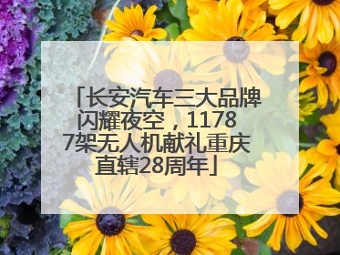 长安汽车三大品牌闪耀夜空，11787架无人机献礼重庆直辖28周年