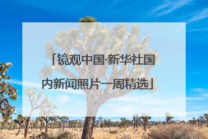 镜观中国·新华社国内新闻照片一周精选