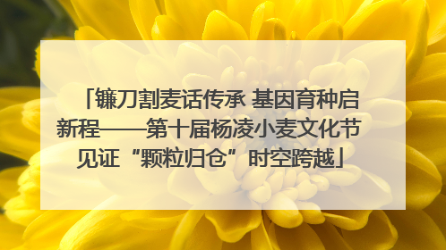 镰刀割麦话传承 基因育种启新程——第十届杨凌小麦文化节见证“颗粒归仓”时空跨越