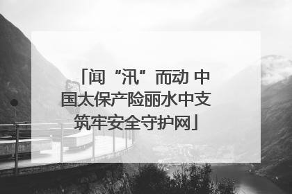 闻“汛”而动 中国太保产险丽水中支筑牢安全守护网