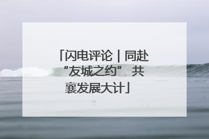 闪电评论｜同赴“友城之约” 共襄发展大计