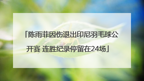 陈雨菲因伤退出印尼羽毛球公开赛 连胜纪录停留在24场
