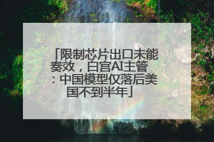 限制芯片出口未能奏效，白宫AI主管：中国模型仅落后美国不到半年
