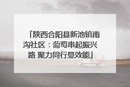陕西合阳县新池镇南沟社区：葡萄串起振兴路 聚力同行显效能