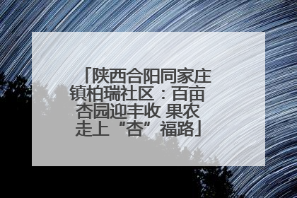 陕西合阳同家庄镇柏瑞社区：百亩杏园迎丰收 果农走上“杏”福路