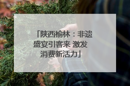 陕西榆林：非遗盛宴引客来 激发消费新活力