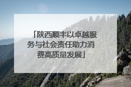 陕西顺丰以卓越服务与社会责任助力消费高质量发展