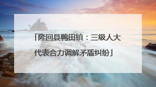 隆回县鸭田镇：三级人大代表合力调解矛盾纠纷