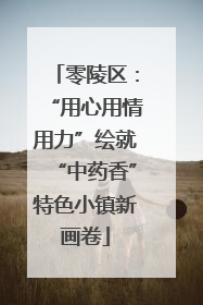零陵区：“用心用情用力”绘就“中药香”特色小镇新画卷