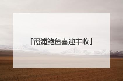 霞浦鲍鱼喜迎丰收