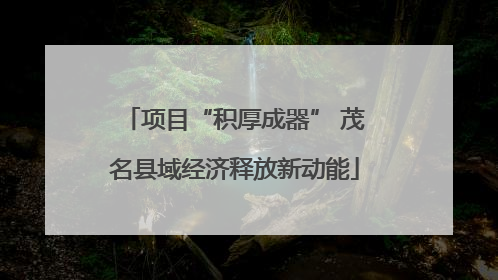 项目“积厚成器” 茂名县域经济释放新动能