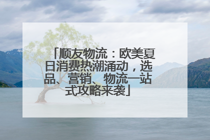 顺友物流：欧美夏日消费热潮涌动，选品、营销、物流一站式攻略来袭