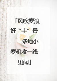 风吹麦浪好“丰”景——多地小麦机收一线见闻
