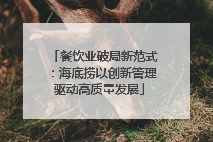 餐饮业破局新范式：海底捞以创新管理驱动高质量发展
