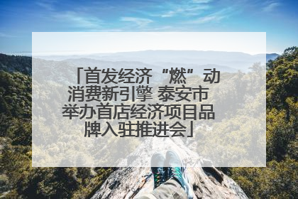 首发经济“燃”动消费新引擎 泰安市举办首店经济项目品牌入驻推进会