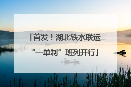 首发！湖北铁水联运“一单制”班列开行