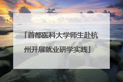 首都医科大学师生赴杭州开展就业研学实践