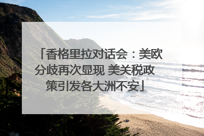 香格里拉对话会：美欧分歧再次显现 美关税政策引发各大洲不安