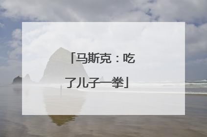 马斯克：吃了儿子一拳