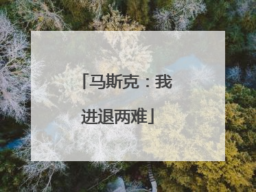 马斯克：我进退两难