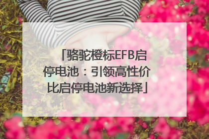骆驼橙标EFB启停电池：引领高性价比启停电池新选择