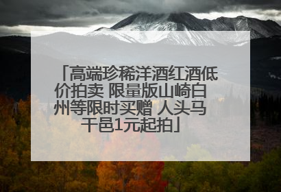 高端珍稀洋酒红酒低价拍卖 限量版山崎白州等限时买赠 人头马干邑1元起拍