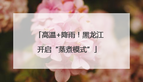 高温+降雨！黑龙江开启“蒸煮模式”