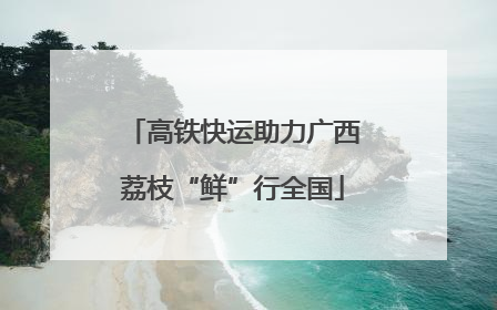 高铁快运助力广西荔枝“鲜”行全国
