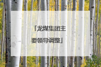 龙煤集团主要领导调整