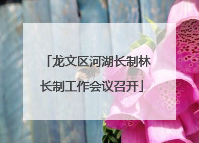 龙文区河湖长制林长制工作会议召开