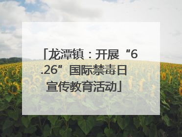 龙潭镇：开展“6.26”国际禁毒日宣传教育活动