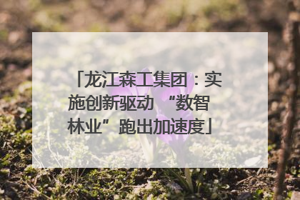龙江森工集团：实施创新驱动 “数智林业”跑出加速度