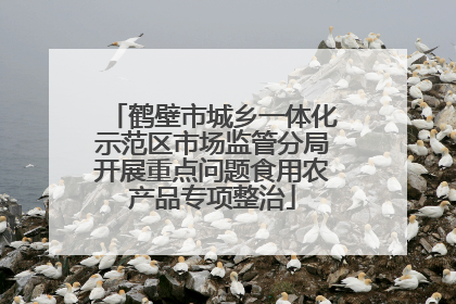 鹤壁市城乡一体化示范区市场监管分局开展重点问题食用农产品专项整治