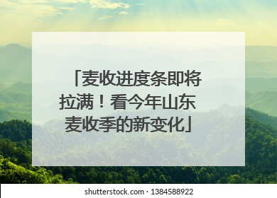 麦收进度条即将拉满！看今年山东麦收季的新变化