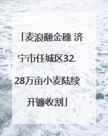 麦浪翻金穗 济宁市任城区32.28万亩小麦陆续开镰收割
