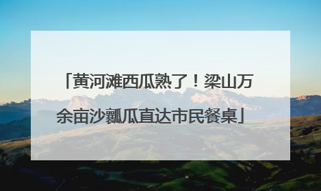 黄河滩西瓜熟了！梁山万余亩沙瓤瓜直达市民餐桌