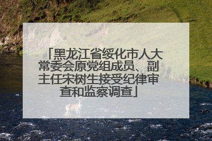 黑龙江省绥化市人大常委会原党组成员、副主任宋树生接受纪律审查和监察调查