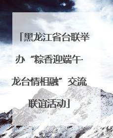 黑龙江省台联举办“粽香迎端午·龙台情相融”交流联谊活动